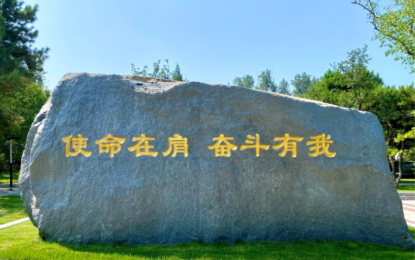 专家视角｜铁人专题会谈科技助力国家队备战东京奥运会